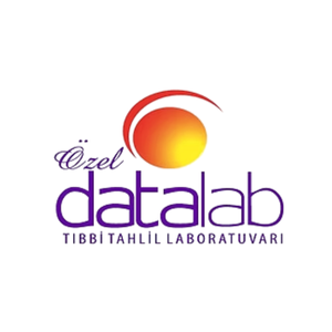 DATA LAB